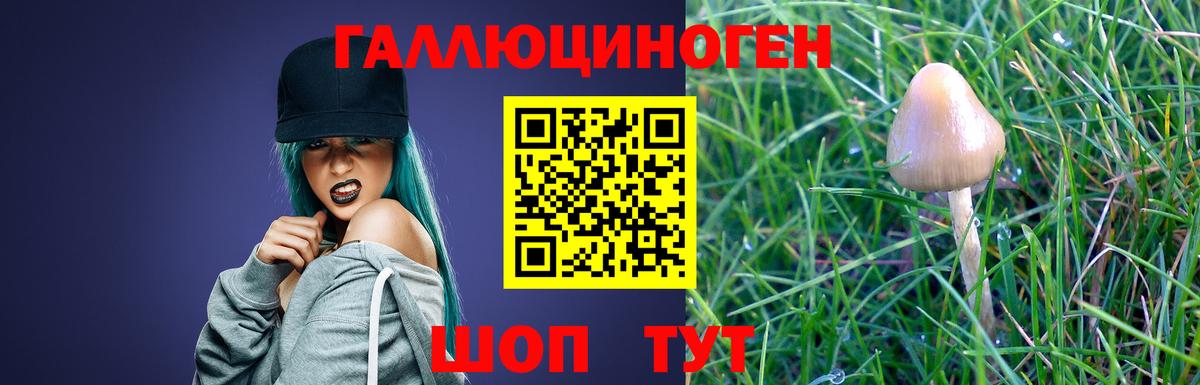 Когалым  Галлюциногенные грибы Cubensis  Вход с VPN  Псилоцибиновые грибы Psilocybe 